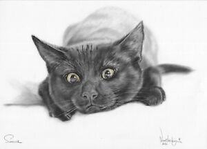 Original drawing А4 59NJ art samovar oil dry brush Realism animal cat Signed 