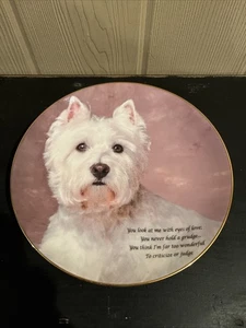 Westminster weiß geliebter Westie Hund Danbury neuwertig Teller Augen der Liebe 8,25 Zoll - Bild 1 von 9