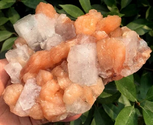 674g Intercrecimiento de Apofilita Natural con Muestras de Cristal de Zeolita ip0751 - Imagen 1 de 12