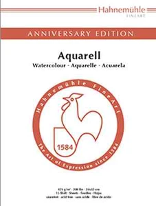 Hahnemuhle Anniversary 200lb Watercolour Block - 24x32cm / 30x40cm - 15 Sheets - Picture 1 of 1