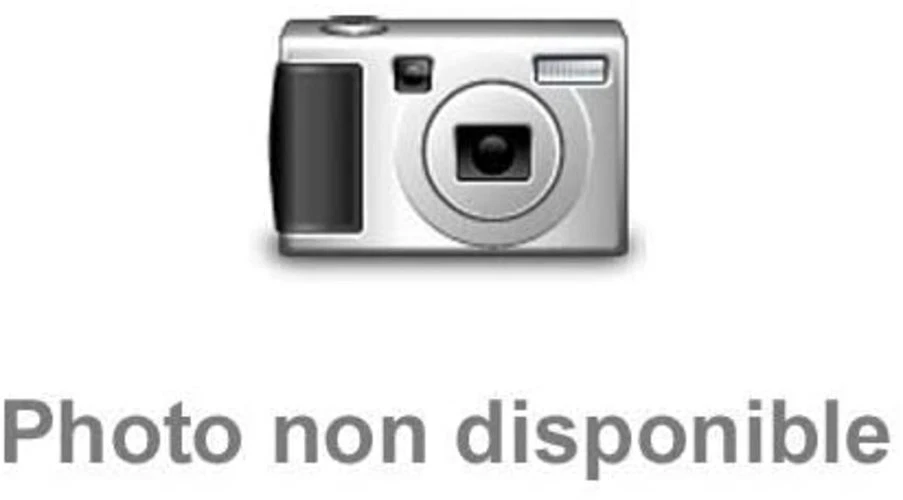 Daiwa Daiwa Mountain Stream Rod Hinata 8 Feet