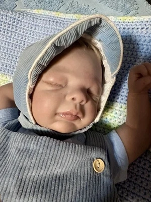 Bountiful Baby Reborn Logan Foto 1 de 4