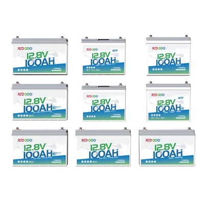 Redodo 12V 100Ah 200Ah LiFePO4 Lithium Battery with BMS for RV Trolling Motor