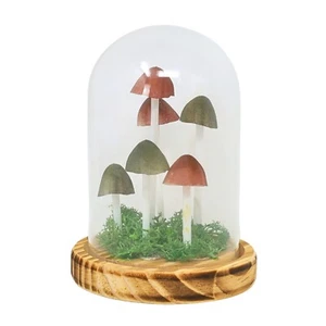 Nachtlicht LED Pilz Glas Kuppel Nachttischlampe Deko Zimmer Leuchte 16,5 cm - Bild 1 von 5