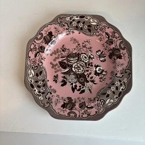 "Plato festoneado rosa y marrón colección Spode Blue Rose Archive 9""" - Imagen 1 de 4