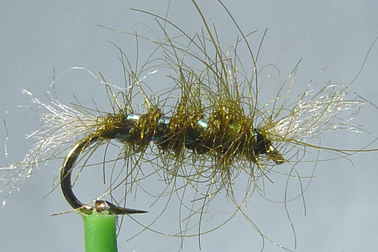 PECHETRUITE 1 x Mouche Chiro Shipman Olive H14/16 fliegen mosca fly