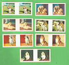 #D143. SEVEN 1963 SANITARIUM WEETBIX TRUE-TO-LIFE STEREO FAMOUS DOG BREEDS CARDS