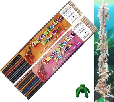Shrimp Lollies Super-Mix-Set + Halter (2x11 Lollies = 22 Stück) Sticks Garnelen - Bild 1 von 4