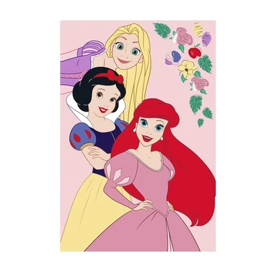 Plaid Principesse Disney in Pile coral 100x150 cm AB980 - Immagine 1 di 2