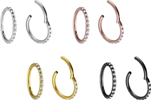 PIERCINGLINE  Piercing Ring Titan Segmentring Clicker KRISTALLE + EPOXY - Bild 1 von 9