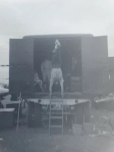 RBBB Circus Performer Handstand anni 40 MSG NYC originale vecchia foto NEGATIVO F17 - Foto 1 di 3