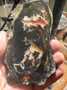 Utah Hanksville area Coprolite slab. Dinosaur poop! - Picture 1 of 11