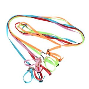 Parrot Harness and Leash 8-Shape Flying Rope for Mini Macaw Parakeet Cockatiel