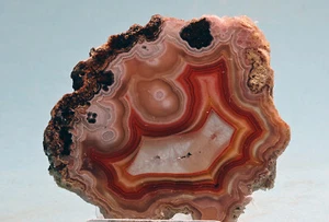 Laguna Agate Slice Mexico Top Quality Choice - Picture 1 of 2