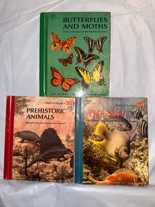 The Sea, prehistoric animals, butterflies & moths - GOLDEN LIBRARY OF KNOWLEDGE - Picture 1 of 5
