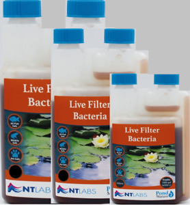 NT Labs Pond Mature Live Filter Bacteria Startup Healthy Clear Water Koi Fish