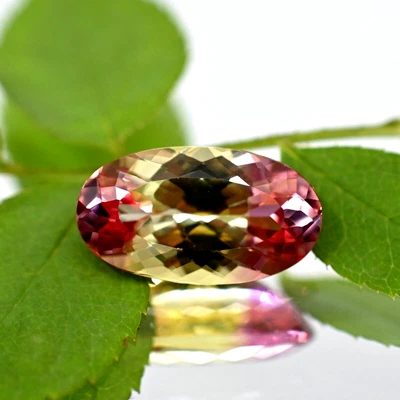 Zafiro Pitambari de 10 quilates con certificación bicolor piedra preciosa suelta corte ovalado Foto 1 de 4