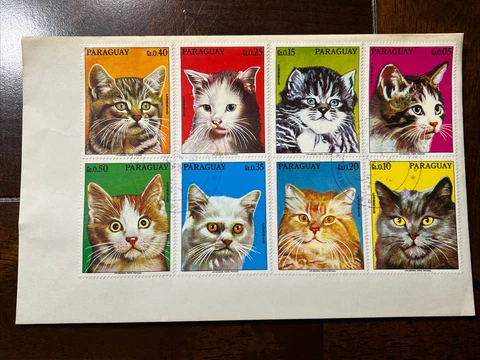 FDC First Day Issue Cover - Paraguay - Kitten Cats Stamps - 1976 Cover