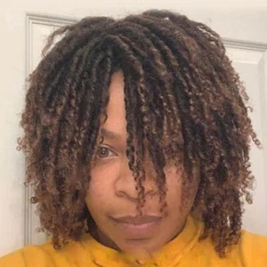 Dreadlock Wig Twist Wigs for Black Women Men Afro Curly Synthetic Ombre Brown US - Picture 1 of 15