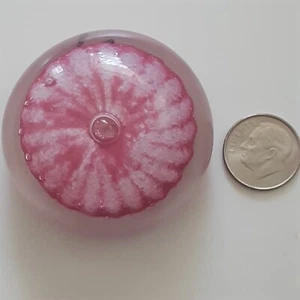 2" pink sea urchin paperweight Dockyard Glassworks Bermuda. 1" height. - Picture 1 of 7