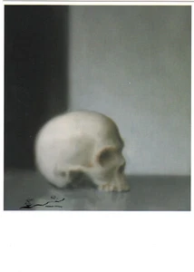 Postkarte: Gerhard Richter - Schädel - Picture 1 of 1