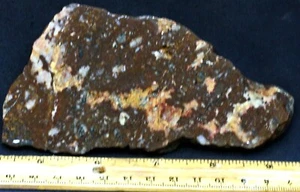 S-41a  ~  5.1oz Slab Conglomerated Jasper/Agate ~ Arizona - Picture 1 of 8