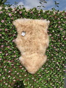 Wolf Tip FOX Brown Tipped Tips - REAL AUSTRALIAN GENUINE Ivory SHEEPSKIN RUG - Picture 1 of 11