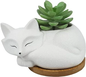 Cute Fox Succulent Planter Pot with Drainage Tray, White Ceramic - Picture 1 of 7