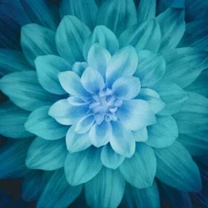Pannello digitale Teal Large Flower di Hoffman 43" x 43" - Foto 1 di 1
