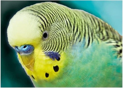 Ideen mit Herz 5D Diamond Painting | Diamant Painting Set | Motiv: 35 x 25 cm | - Bild 1 von 4