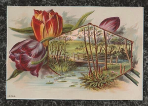 Victorian Stock Trade Card Tulips Creek Waterlilies Rustic Bridge 5.5 x 4 - Imagen 1 de 2