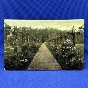 Cartolina d'epoca Mill Pond Plantation Rose Walk stampata in GB Thomasville GA - Foto 1 di 6