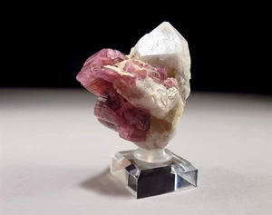Magenta Pink Rubellite Tourmaline on a white Scepter Quartz Crystal  - Picture 1 of 12
