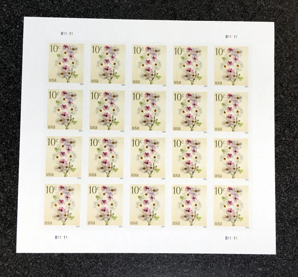 2024USA #5901 10c Poppies & Coneflowers - Sheet of 20  Mint NH    flower - Image 1 of 1