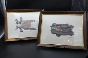 Vintage 1980/1981 Richard Sloan Water Fowl Ducks Prints - Bild 1 von 6