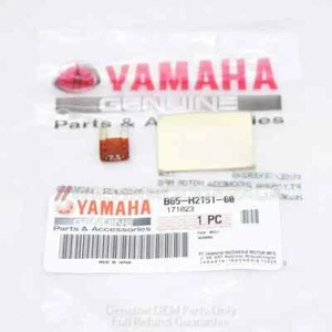 Conjunto de FUSIBLES genuino apto para Yamaha XMAX 300 250 EVOLIS 2017-2022 B65-H2151-00 - Imagen 1 de 3