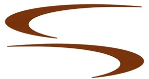 2 calcomanías gráficas para remolque cámper Forest River Salem Hemisphere -2628 - Imagen 1 de 1