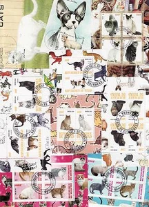 X1014 - Verzameling / Collection - 10 sheets - Katten / Cats / Katze - Picture 1 of 1