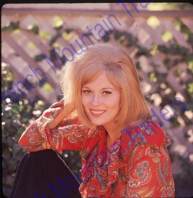 Faye Dunaway, Diapositiva de Gran Formato, Transparencia Fotográfica 2.25x2.25", Bonito Color 2801 Foto 1 de 2