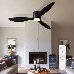 Ludomide 52 Inch Ceiling Fan with Remote Control - Picture 1 of 1