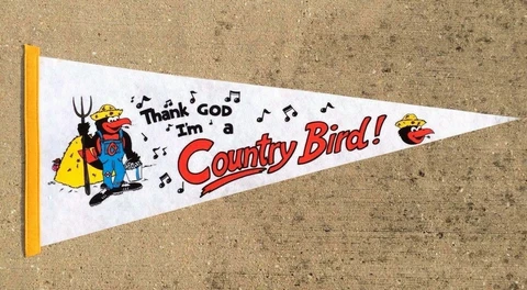 Vintage Baltimore Orioles Pennant "Thank God I'm A Country Bird" John Denver Cover