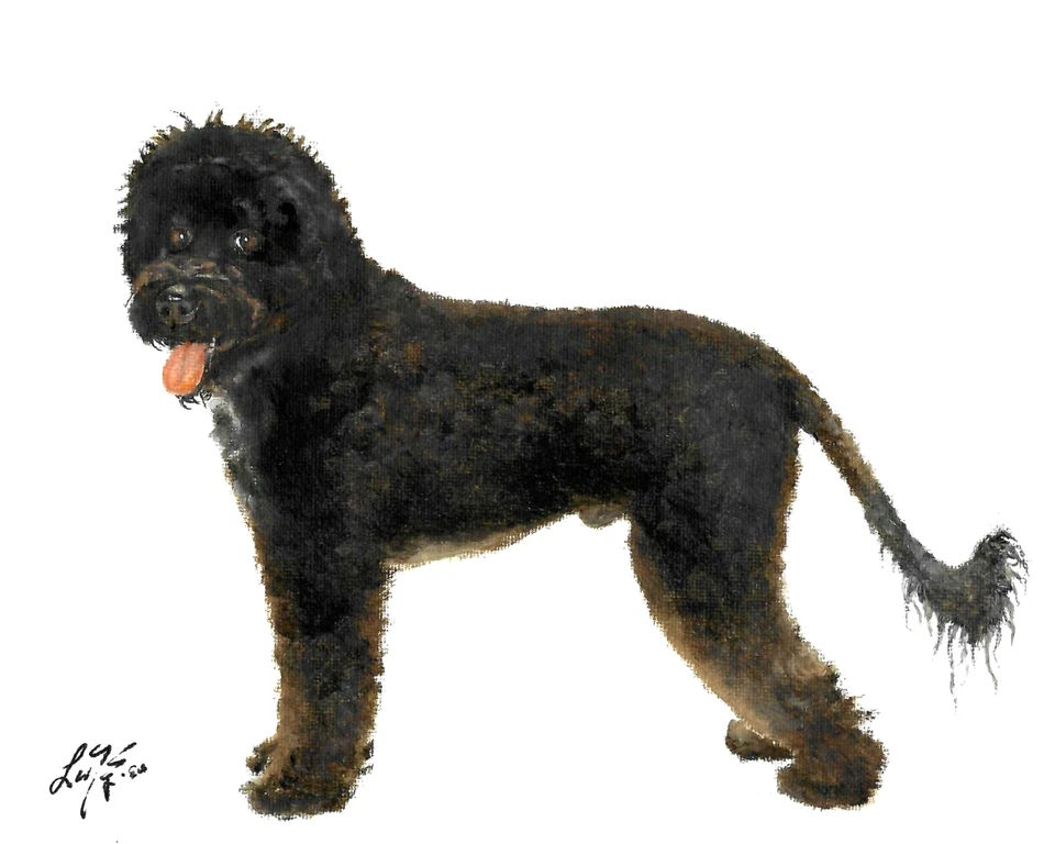 ✿ ORIGINAL Oil Portrait Painting PORTUGUESE WATER DOG Artist Signed Artwork Art - Image 1 of 1