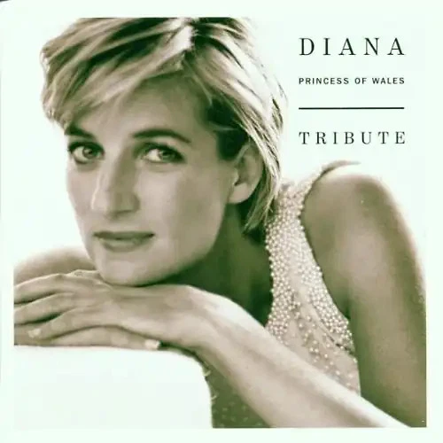 Various - Diana Tribute - Bild 1 von 1