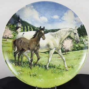 Lovely Spode Noble Horse Collection Susie Whitcombe Plate Austrian Lipizzaner - Picture 1 of 3