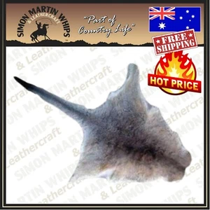 Kangaroo Fur Hide Australian Tanned Leather Floor Skin - Various Sizes - Picture 1 of 4