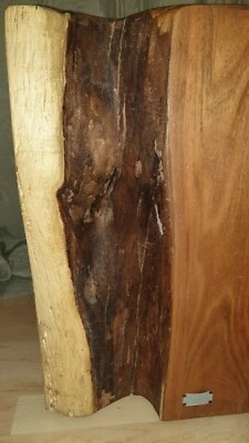 Holzhocker, Massivholz, Holzklotz, Beistelltisch, Blumensäule, Designer klotz  - Bild 1 von 4