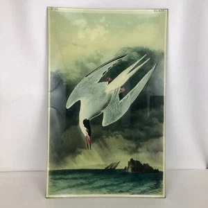 John Derian Decoupage Seevogel Glas Schale Tablett signiert 14 x 9 - Bild 1 von 5