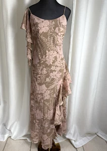 Mr K Champagne & Dusty Pink Chiffon Fully Lined Cocktail Formal Dress Size 10 - Picture 1 of 21