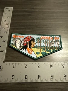 Osceola Lodge 564 Flap Forest Scene OA Order of the Arrow -1733A - Bild 1 von 1
