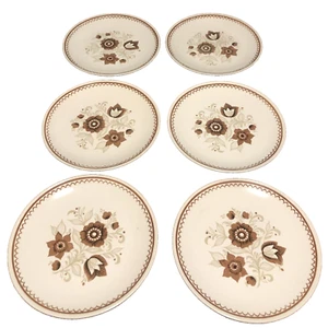 Retro Set Of Six Brown Floral Nutmeg Cavalier Ironstone USA 10" Dinner Plates - Picture 1 of 11